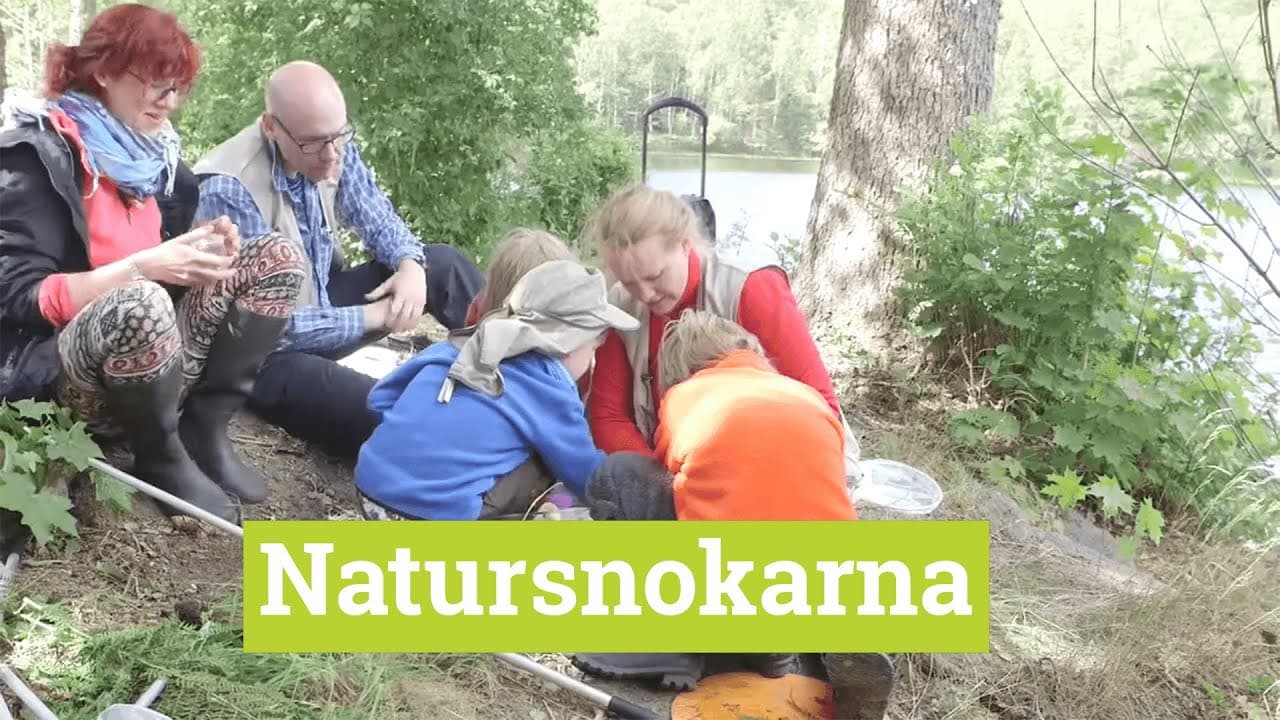 Bild från youtube-video